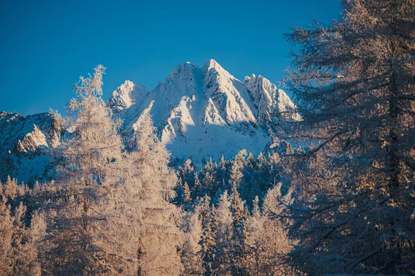 Awe Inspiring View Snowy Mountain Peaks Winter — Stock Photo, Image