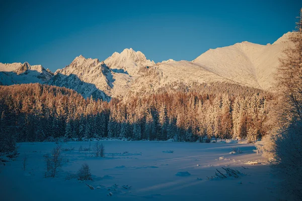Majestic Beauty Winter Mountains — 스톡 사진