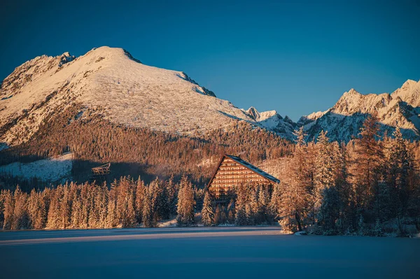 Splendid Majesty Snowy Mountain Ranges — Stockfoto