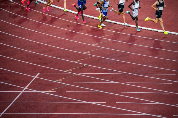 田径运动比赛中的中长跑吸引了田径运动界的男性运动员 运动员的腿 红色编辑空间 体育照片 — 图库照片