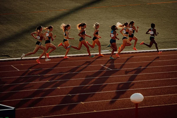 Bystrica Slovakia July 2023 女子跑步者在800米赛跑中奋斗 沐浴在平静的日落环境中 在布达佩斯世界田径运动平台上 在巴黎夏季奥林匹克运动会上 — 图库照片