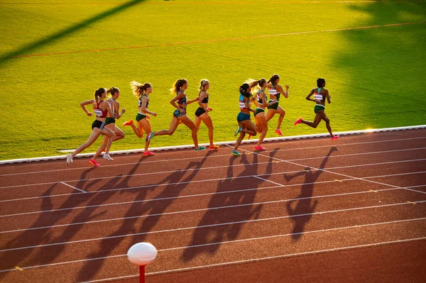 Bystrica Slovakia July 2023 Female Sprinters Compete 800M Race Amidst — Stock Photo, Image