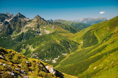 High Tatras Beauty: A breathtaking perspective from the verdant summit of the Belianske Tatras, offering a mesmerizing view into a valley blanketed in vibrant green clipart