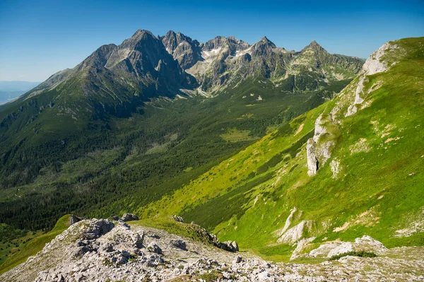 Nature Grandeur Captured Photo High Tatras Rise Lush Green Meadows — Stock Photo, Image
