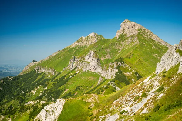 Image Unity Nature Belianske Tatras Verdant Spine Extends Border Inviting — Stock Photo, Image