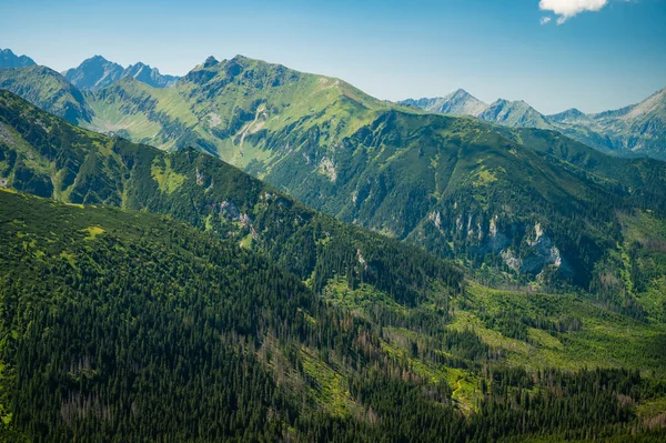 High Tatras Framed Verdant Beauty Belianske Tatras Scene Pure Mountain — Stock Photo, Image