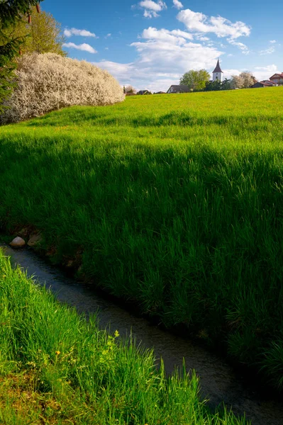 Nature Awakening Blossoming Countryside Landscape — Stock Photo, Image