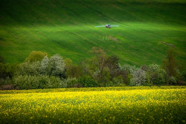 ブルームの緑の牧草地 春のストロールのトラクター — ストック写真