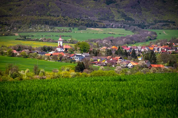 Grüne Frühlingsfelder Kirche Horizont Unter Blauem Himmel Ländliche Agrarlandschaft — Stockfoto