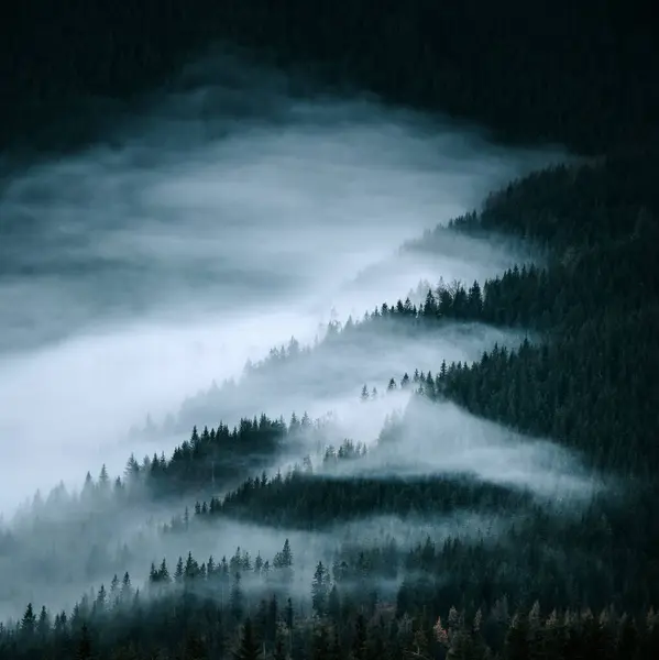 秋天里的雾 山外的雾 喀尔巴阡山脉里的自然 正方形 编辑您的蒙太奇空间 — 图库照片