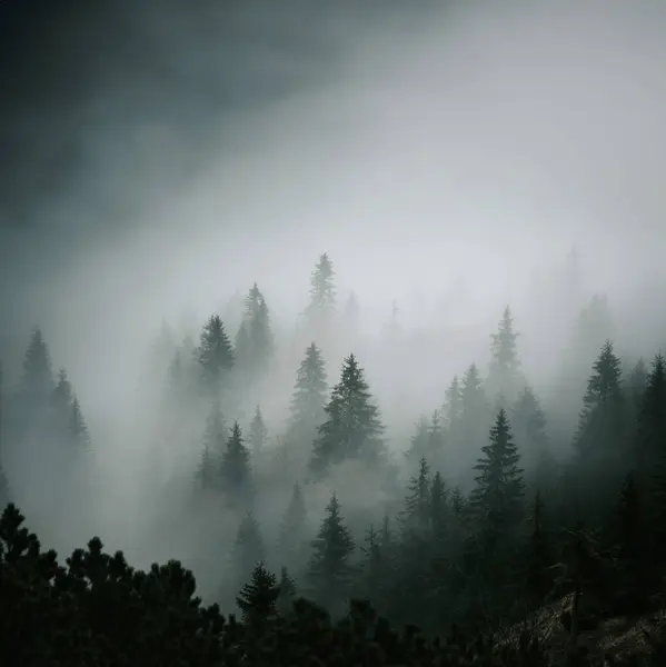 Misty Autumn Mysterious Mood Mountains Square Format Edit Space Your — Stock Photo, Image