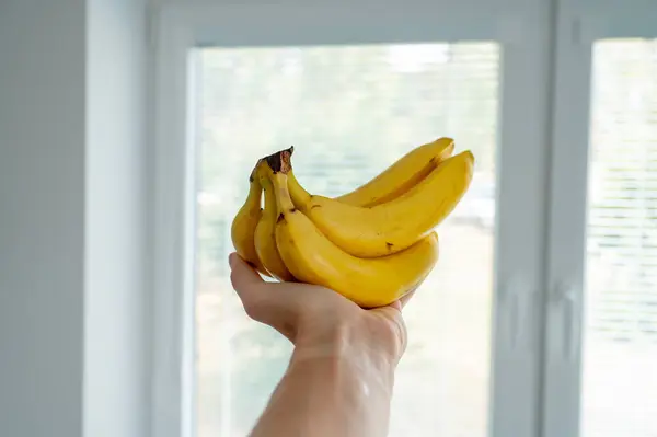 Man\'s hand holding bananas, natural daylight