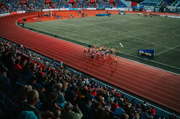OSTRAVA, CZECHIA, 28 Mayıs 2024: 1500 metre profesyonel koşu ve saha yarışı. Pistte koşan seçkin sporcular var. Yaz olimpiyatlarından önce ön yarış Paris 2024 ve Avrupa Şampiyonası