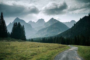 Sis bulutu içinde yüksek kayalık dağlara doğru bir yürüyüş yolu. Patika, çayır ve dağlar. Macera yolculuğu.