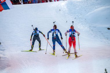 Karlı pistte biatlon atletleri, kış sporları profesyonel yarışında