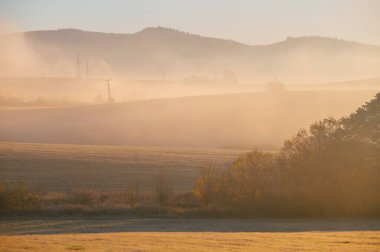 Huzurlu Sisli Sabah Işıldayan Sonbaharlar 