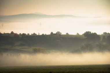 Sisli bir sonbahar sabahı, kırsal çayırda beyaz bir sis.