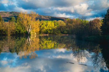 Ağaçlarla çevrili huzurlu bir bahar göleti taze yeşil yapraklarla çiçeklenmeye başlıyor, açık mavi bir gökyüzünün altında sabahın erken saatlerinde yumuşak bir ışıkta yıkanıyor.