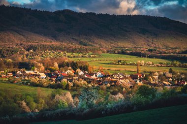 İlkbaharda verimli yeşillikler ve beyaz çiçeklerin manzarayı güzelleştirdiği ideal bir kırsal bölge.