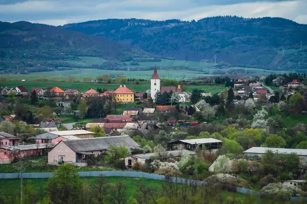 Çiçek açan beyaz çalılar ve yemyeşil doğa huzurlu bahar kırsalında