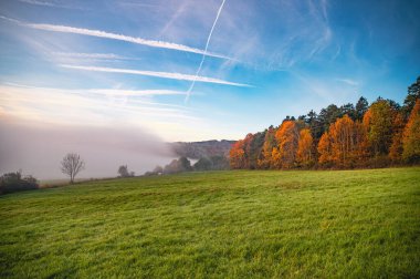 Altın Renkli Ağaçlar ve Yumuşak Sabah Buğusu Huzurlu bir Sonbahar Manzarası Oluşturdu