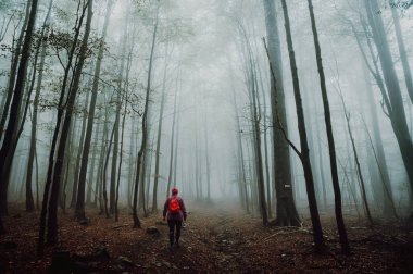 Kasvetli ve karanlık yaz sisli ormanlarında yalnız kadın yürüyüşçü. Kötü havada yaz macerası