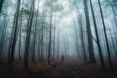 Depresyondaki kadın yürüyüşçü ve karanlık yaz sisli ormanında