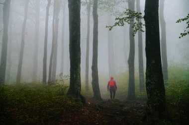 Yağmurdan sonra sisli ormanda yalnız bir kadın yürüyüşe çıktı..