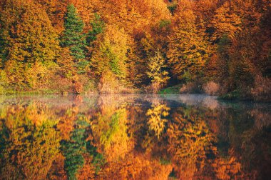 Sessiz bir gölün sisli sularıyla harmanlanan canlı sonbahar renkleri