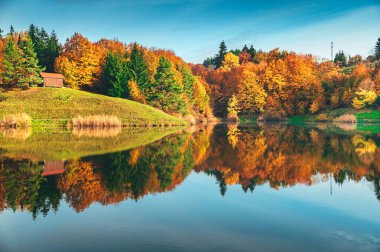Sessiz bir gölün sisli sularıyla harmanlanan canlı sonbahar renkleri