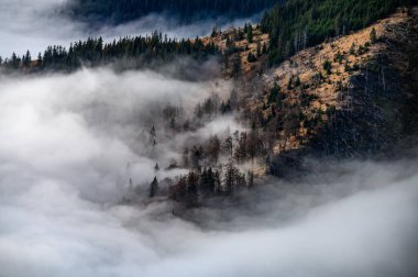 Karpat tepelerinin sırtı siste gizlidir. Slovakya, Low Tatras 'ta sonbahar dönüşümü, kasvetli sonbahar atmosferinin fotoğrafı.