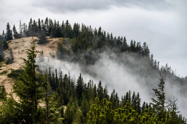 Karpat tepelerinin sırtı siste gizlidir. Slovakya, Low Tatras 'ta sonbahar dönüşümü, kasvetli sonbahar atmosferinin fotoğrafı.