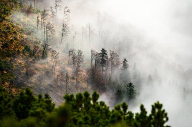 Slovakya Vadisi 'nin üstündeki Bulutlarda Sis Tatraları Kucaklarken