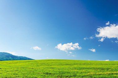 Mavi gökyüzü olan büyük, açık bir alan. Gökyüzünde hiç bulut yok. Çimler yeşil ve tarlalar çok büyük.