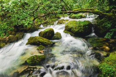 Kayaların üzerinden bir su akıntısı akıyor. Su berrak ve yeşil renkte. Kayalar yosunla kaplı.