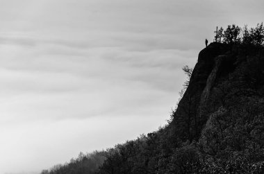 Bir kişi bir tepede duruyor. Tepe ağaçlarla kaplı. Gökyüzü bulutlu.