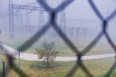Bir tarlanın ortasında bir ağaç var. Gökyüzü bulutlu ve sisli. Arka planda çit var.