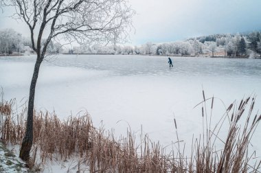 Serene frozen pond in a snowy landscape, with fog weaving between trees and fields, creating a magical and peaceful Christmas atmosphere