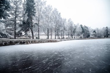 Yumuşak beyaz sisle kaplanmış buzlu bir gölün üzerinde sakin bir kış sabahı Noel ruhunu kucaklıyor.