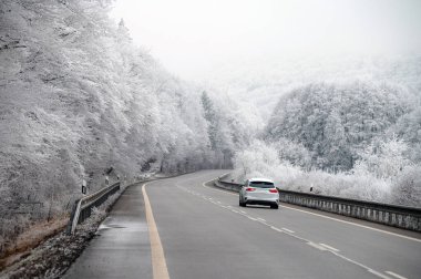 A car drives along a snow-covered road through a serene white winter landscape, surrounded by frosted trees and fields in the Christmas season
