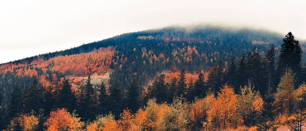 Dağlarda Sonbahar Manzarası Yamaçta Renkli Ağaçlar Bulutlu Bir Günde Manzara — Stok fotoğraf