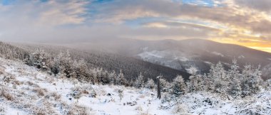 Sudetes 'in Polonya dağlarındaki kış manzarası, Marianskie Skaly zirvesinden gün batımında karlı dağ zirvelerine ve bitki örtüsüne manzara.