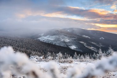 Sudetes 'in Polonya dağlarındaki kış manzarası, Marianskie Skaly zirvesinden gün batımında karlı dağ zirvelerine ve bitki örtüsüne manzara.