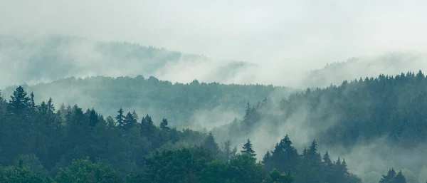 Dağ Manzarası Dumanı Tüten Ormanlar Bir Yaz Günü Sağanak Yağmurdan — Stok fotoğraf