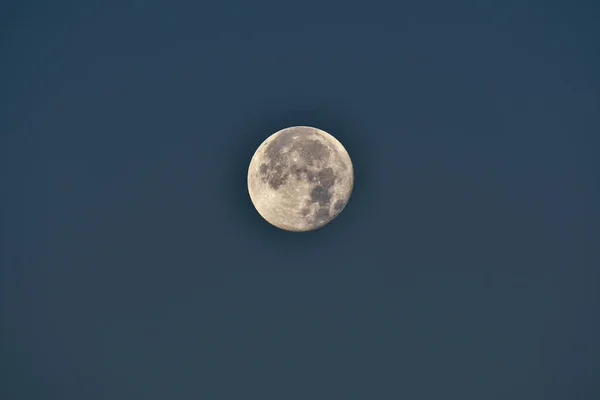 天上的满月 一颗从地面上看得见的天然卫星 一个有可见弹坑的圆盘 — 图库照片