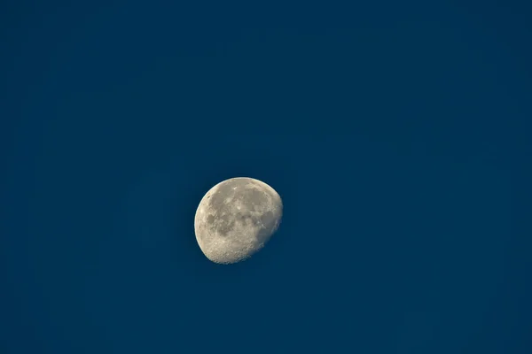 在天空中消失的令人毛骨悚然的景象 从地面看到了一个明亮的月球圆盘 其表面上有无数的坑 — 图库照片