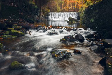 Şelalesi olan dağ nehri, ıslak kayaların arasından akan soğuk su. Sonbahar dağ manzarası.