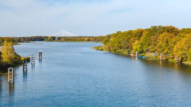 Wroclaw, Odra Nehri, sahil boyunca ağaçlarla dolu geniş nehir yatağı. Güneşli bir sonbahar günü görüntüsü, uzaktaki Redzinski köprüsü