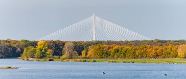 Wroclaw, Odra Nehri, Redzinski Köprüsü, kıyı boyunca ağaçlarla dolu geniş bir nehir yatağı. Güneşli bir sonbahar gününün görüntüsü.