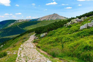 Dev Dağlar, tepe boyunca uzanan taşlı bir patika en yüksek tepeye, Sniezka 'ya doğru. Güneşli bir yaz gününde dağ manzarası ve yürüyüş parkuru
